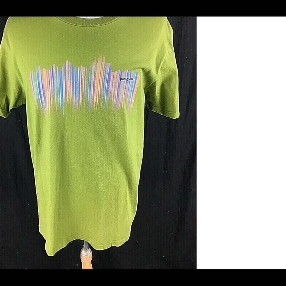 Men’s large slim fit Patagonia t-shirt